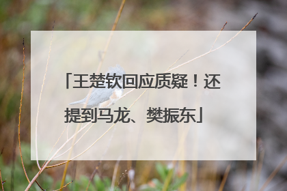 王楚钦回应质疑！还提到马龙、樊振东