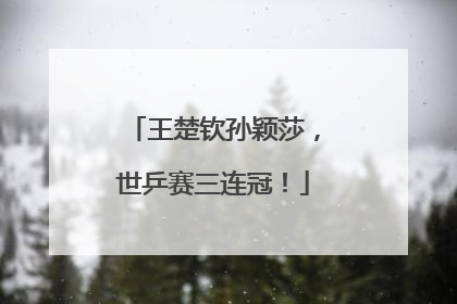 王楚钦孙颖莎，世乒赛三连冠！