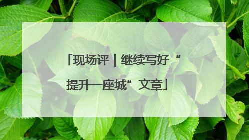 现场评｜继续写好“提升一座城”文章