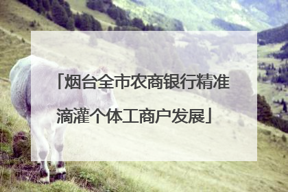 烟台全市农商银行精准滴灌个体工商户发展