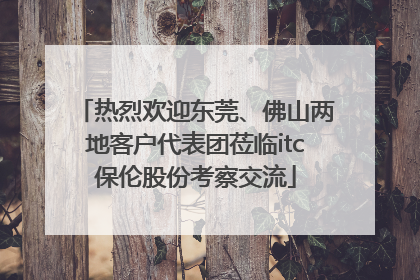 热烈欢迎东莞、佛山两地客户代表团莅临itc保伦股份考察交流