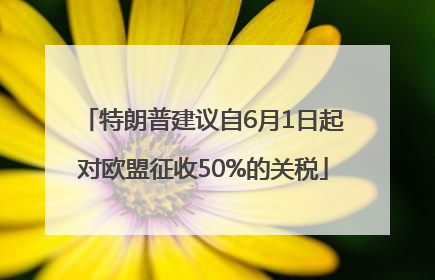 特朗普建议自6月1日起对欧盟征收50%的关税