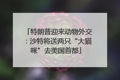 特朗普迎来动物外交：沙特将送两只“大猫咪”去美国首都