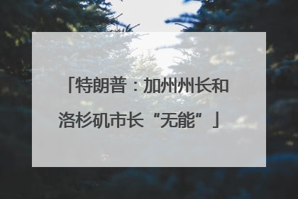 特朗普：加州州长和洛杉矶市长“无能”