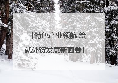 特色产业领航 绘就外贸发展新画卷