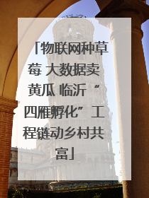 物联网种草莓 大数据卖黄瓜 临沂“四雁孵化”工程链动乡村共富