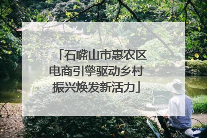 石嘴山市惠农区电商引擎驱动乡村振兴焕发新活力