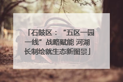 石鼓区：“五区一园一线”战略赋能 河湖长制绘就生态新图景