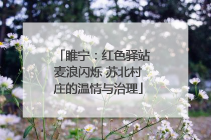 睢宁：红色驿站麦浪闪烁 苏北村庄的温情与治理