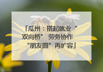 瓜州：搭起就业“双向桥” 劳务协作“朋友圈”再扩容