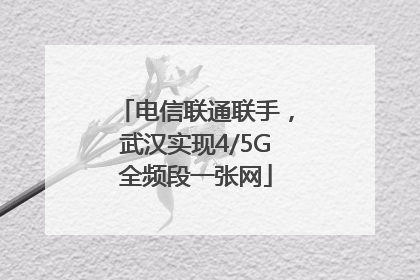 电信联通联手，武汉实现4/5G全频段一张网