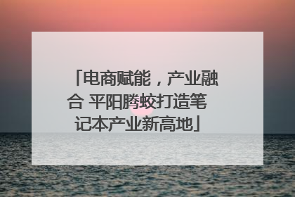 电商赋能，产业融合 平阳腾蛟打造笔记本产业新高地