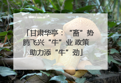 甘肃华亭：“畜”势腾飞兴“牛”业 政策助力添“牛”劲