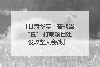 甘肃华亭：奋战当“夏” 打响项目建设攻坚大会战