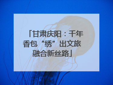 甘肃庆阳：千年香包“绣”出文旅融合新丝路