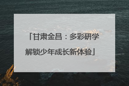 甘肃金昌：多彩研学解锁少年成长新体验