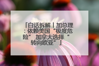 白话拆解丨加总理：依赖美国“极度危险” 加拿大选择“转向欧亚”