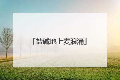 盐碱地上麦浪涌