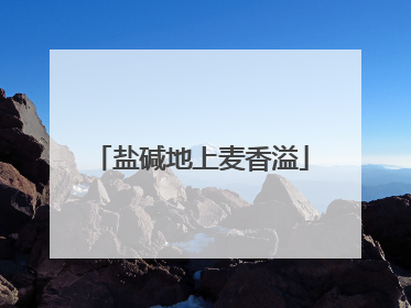 盐碱地上麦香溢
