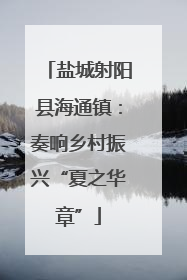 盐城射阳县海通镇：奏响乡村振兴“夏之华章”