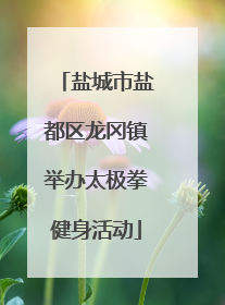 盐城市盐都区龙冈镇举办太极拳健身活动