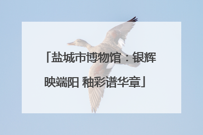 盐城市博物馆：银辉映端阳 釉彩谱华章