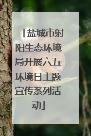 盐城市射阳生态环境局开展六五环境日主题宣传系列活动