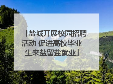 盐城开展校园招聘活动 促进高校毕业生来盐留盐就业