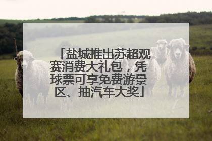 盐城推出苏超观赛消费大礼包，凭球票可享免费游景区、抽汽车大奖