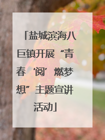 盐城滨海八巨镇开展“青春‘阅’燃梦想”主题宣讲活动