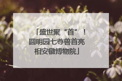 盛世聚“首”！圆明园七尊兽首亮相安徽博物院