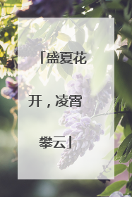 盛夏花开，凌霄攀云