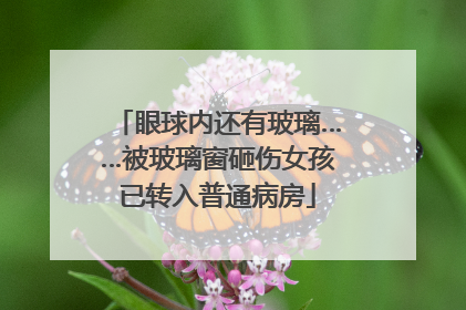 眼球内还有玻璃……被玻璃窗砸伤女孩已转入普通病房