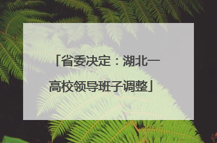 省委决定：湖北一高校领导班子调整