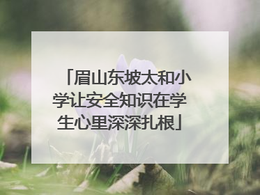 眉山东坡太和小学让安全知识在学生心里深深扎根