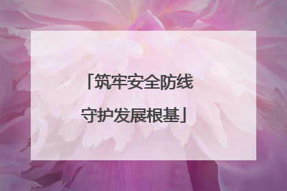 筑牢安全防线 守护发展根基