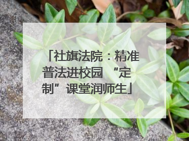 社旗法院：精准普法进校园 “定制”课堂润师生