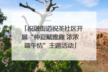 祝融街道祝圣社区开展“仲夏赋雅趣 浓浓端午情”主题活动