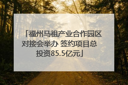 福州马祖产业合作园区对接会举办 签约项目总投资85.5亿元