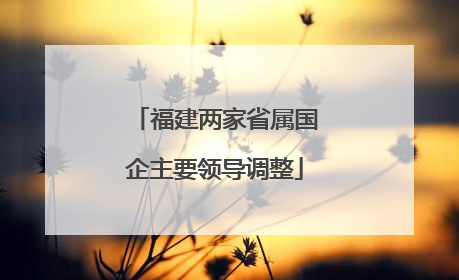 福建两家省属国企主要领导调整
