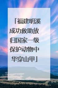 福建明溪成功救助放归国家一级保护动物中华穿山甲