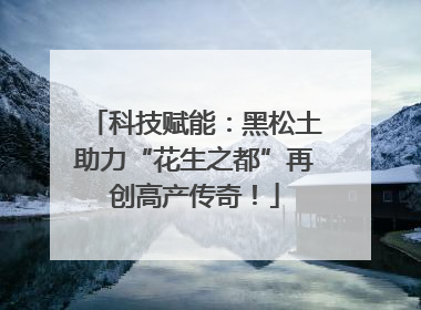 科技赋能：黑松土助力“花生之都”再创高产传奇！