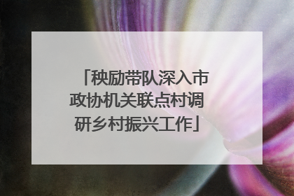 秧励带队深入市政协机关联点村调研乡村振兴工作
