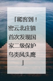 稀客到！密云北庄镇首次发现国家二级保护鸟类凤头鹰