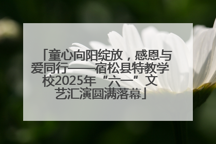 童心向阳绽放，感恩与爱同行——宿松县特教学校2025年“六一”文艺汇演圆满落幕