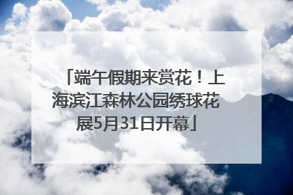 端午假期来赏花！上海滨江森林公园绣球花展5月31日开幕