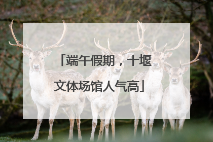 端午假期，十堰文体场馆人气高
