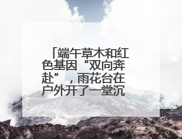 端午草木和红色基因“双向奔赴”，雨花台在户外开了一堂沉浸式思政课