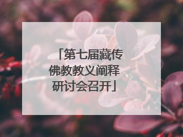 第七届藏传佛教教义阐释研讨会召开