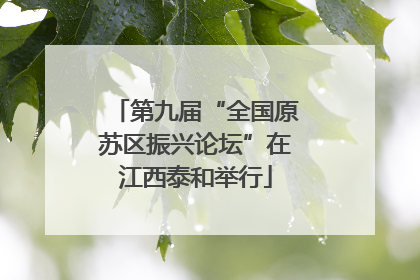 第九届“全国原苏区振兴论坛”在江西泰和举行